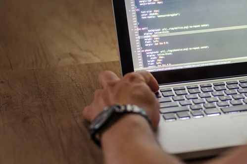 留美十年博士觀察 裁員潮下，計算機科學為何依然是值得選擇的“硬核”專業